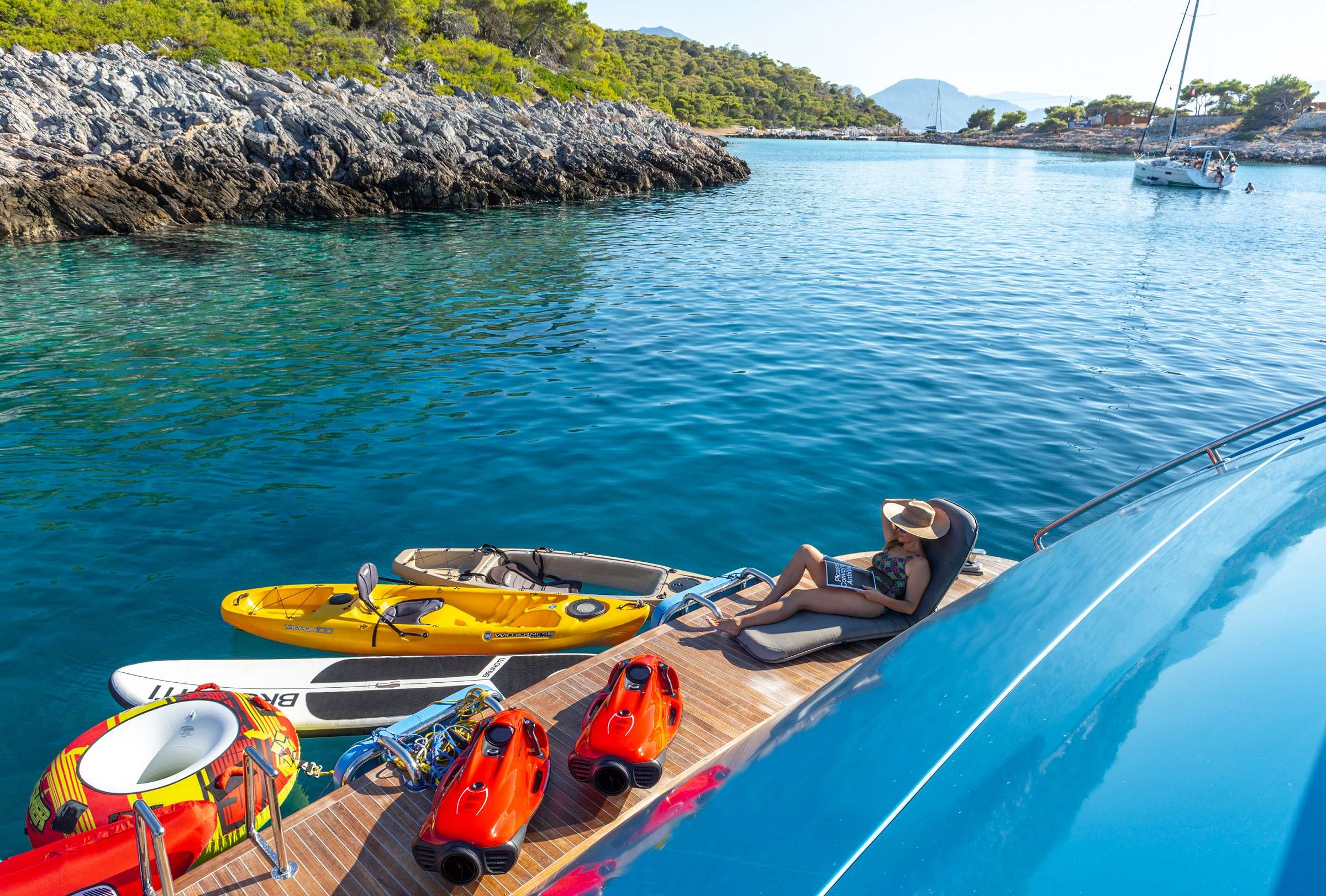 SEA WOLF yacht image 16